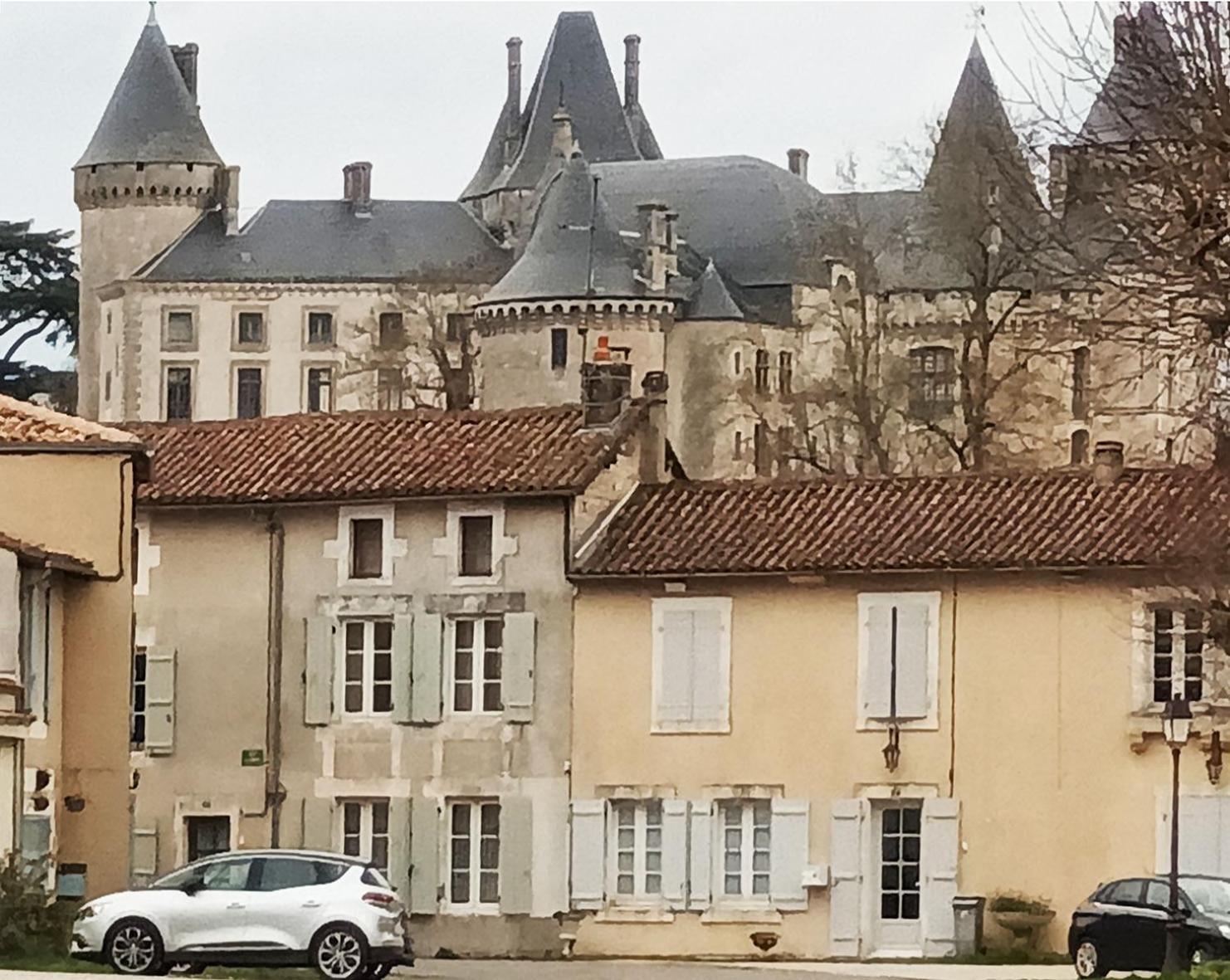 Ferienwohnung Au Bord De La Riviere Verteuil-sur-Charente Exterior foto