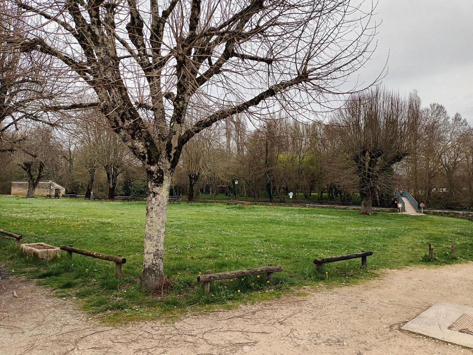 Ferienwohnung Au Bord De La Riviere Verteuil-sur-Charente Exterior foto